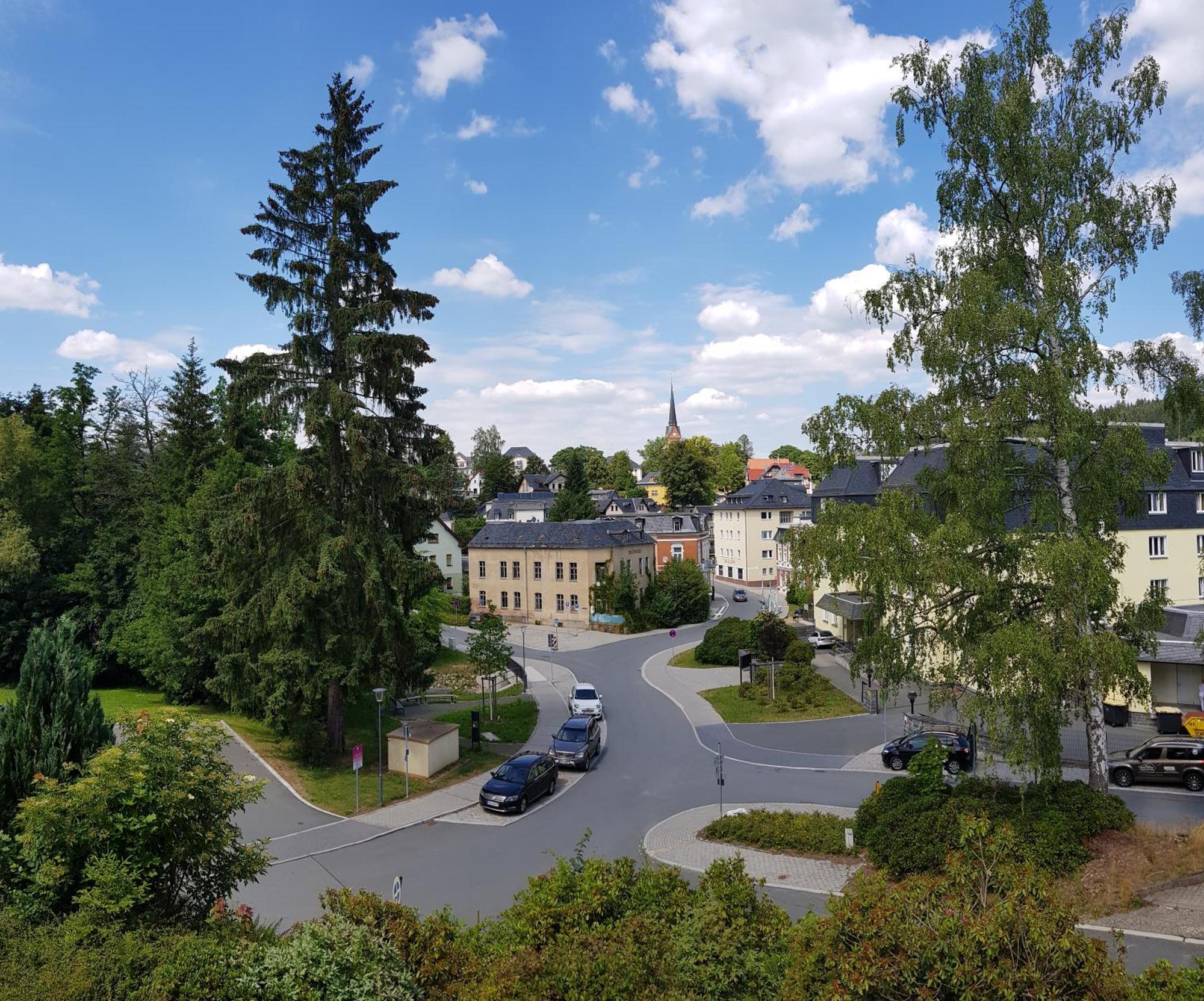 Ferienwohnungen Villa Goldbrunnen Bad Elster Zewnętrze zdjęcie